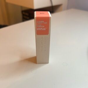 Haus Labs by Lady Gaga Hy-Power Pigment Paint - blush matte